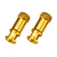 Granite Juicy Nipple Valve Cap And Removal Tool in Gold