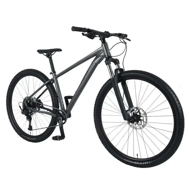 Claud Butler Alpina 2.0 29er Hardtail Mountain Bike in Grey-1