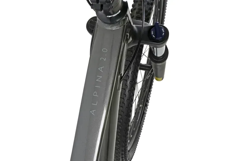 Claud Butler Alpina 2.0 29er Hardtail Mountain Bike in Grey-3